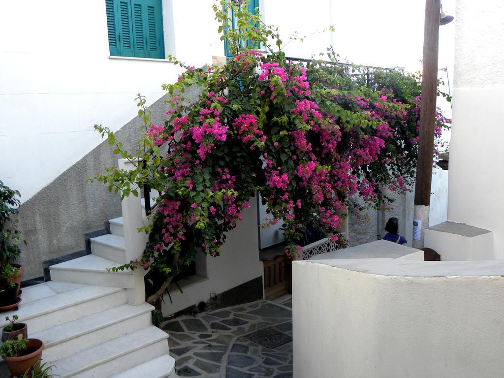 Hotel Anixis Naxos City Exterior photo