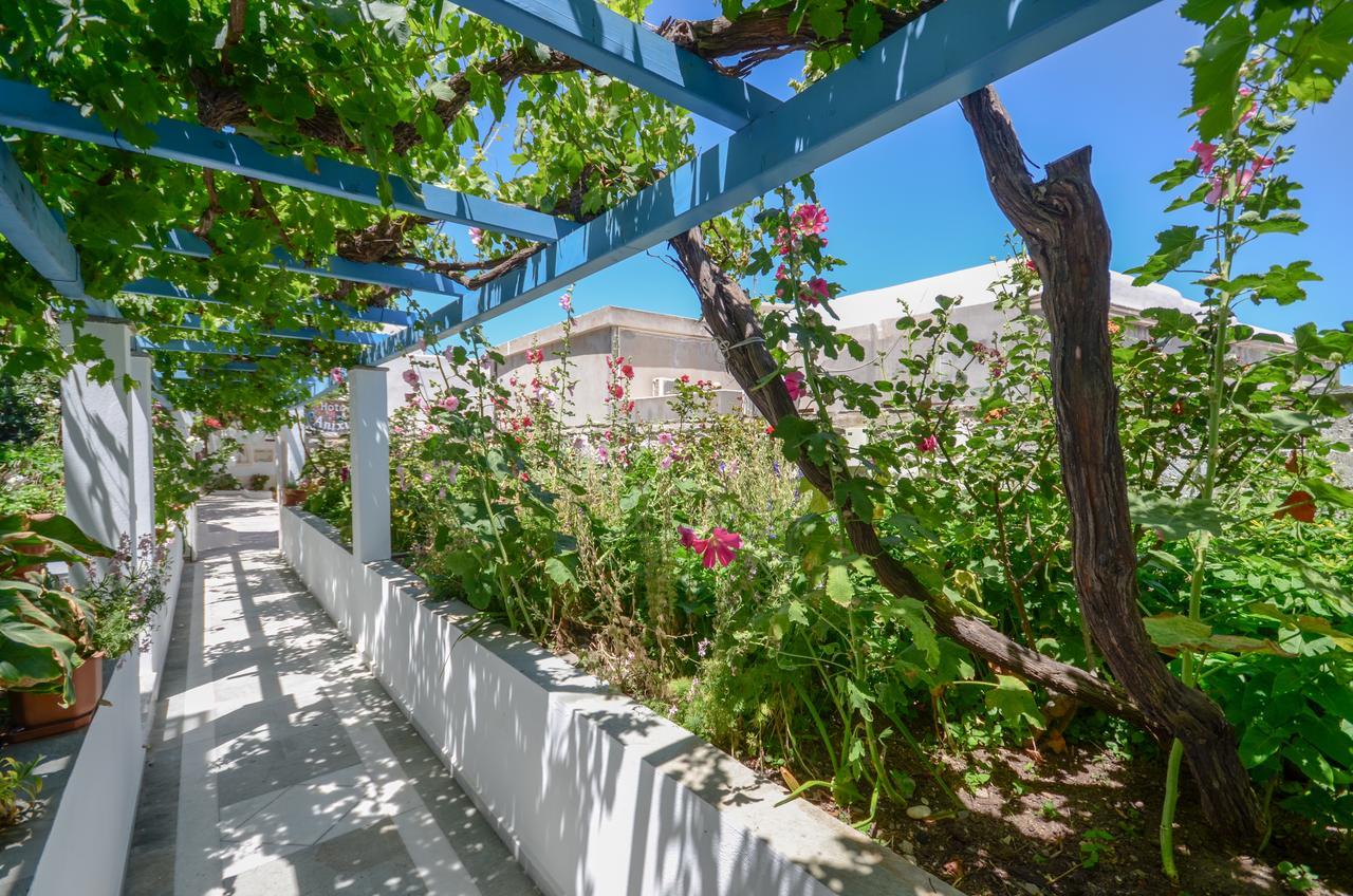 Hotel Anixis Naxos City Exterior photo